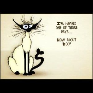 Meet your Posher, Sabrina